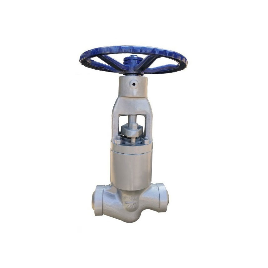 Pressure Seal Globe Valve